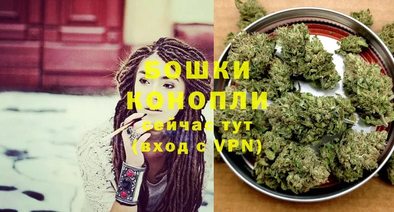 Бошки марихуана OG Kush  Белово 